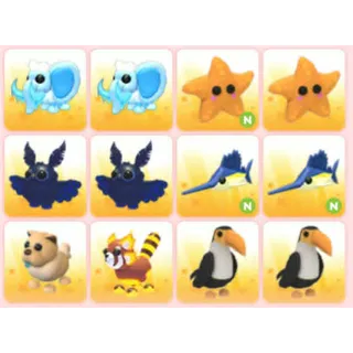 BUNDLE PET X12