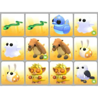 BUNDLE PET X12