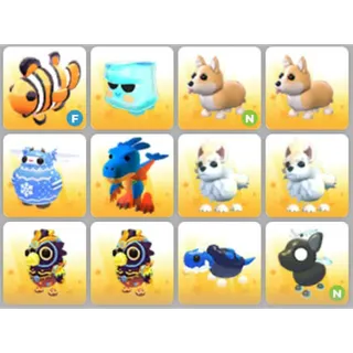 BUNDLE PET X12