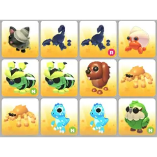 BUNDLE PET X12