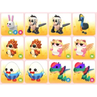 BUNDLE PET X12