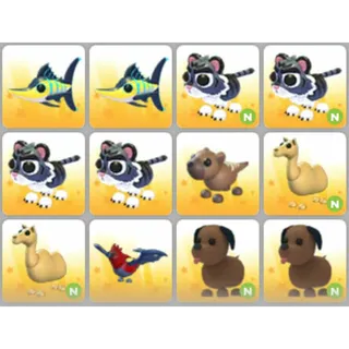 BUNDLE PET X12