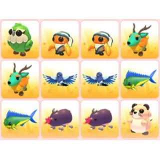 BUNDLE PET X12