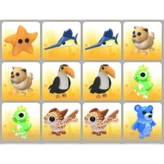 BUNDLE PET X12