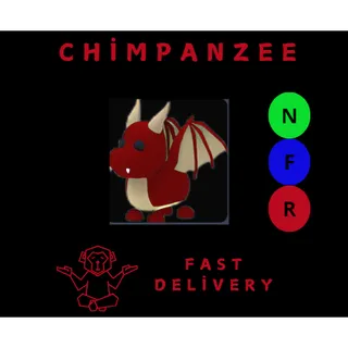 DRAGON NFR