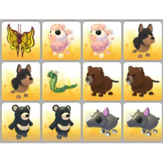 BUNDLE PET X12