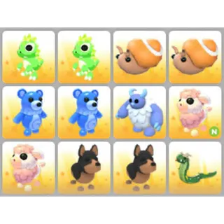BUNDLE PET X12