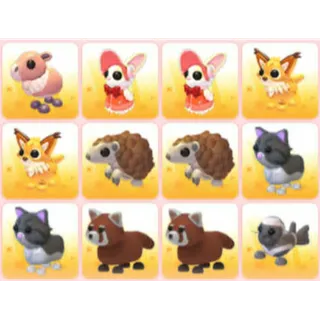 BUNDLE PET X12