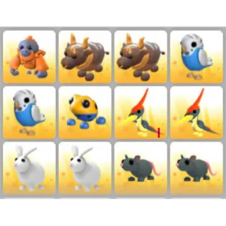 BUNDLE PET X12