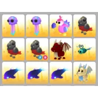 BUNDLE PET X12