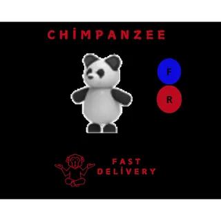 PANDA FR