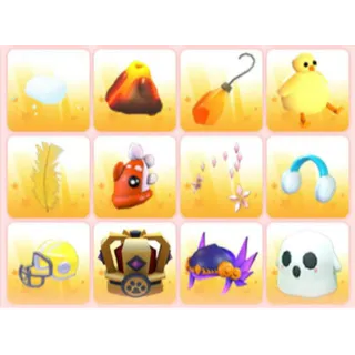 BUNDLE PET WEAR X12