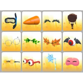 BUNDLE PET WEAR X12