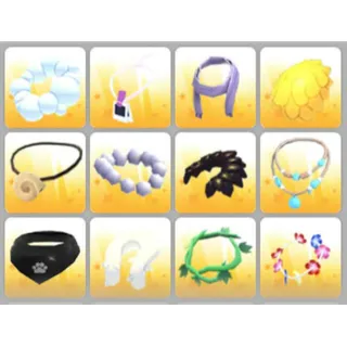 BUNDLE PET WEAR X12