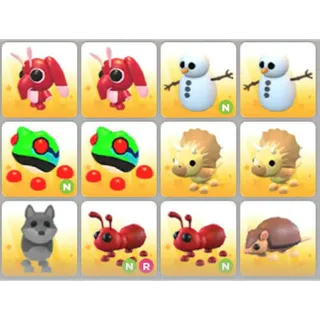 BUNDLE PET X12