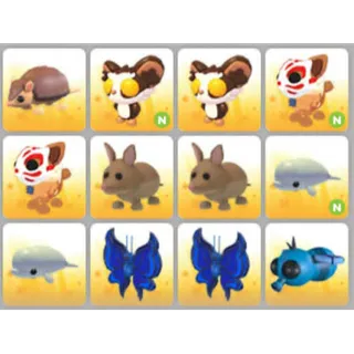 BUNDLE PET X12