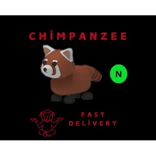 RED PANDA NEON