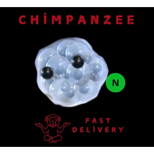 Frogspawn NEON
