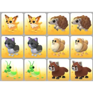 BUNDLE PET X12