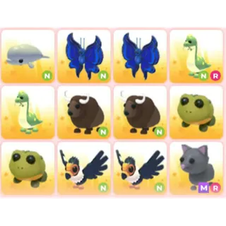 BUNDLE PET X12