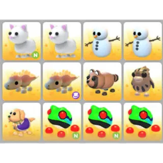 BUNDLE PET X12