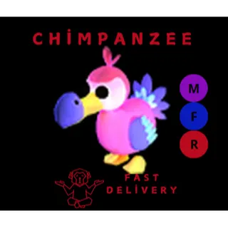 DODO MFR