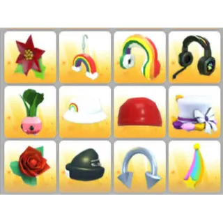 BUNDLE PET WEAR X12