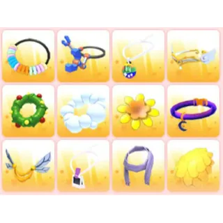 BUNDLE PET WEAR X12