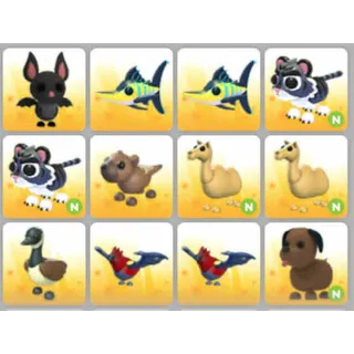 BUNDLE PET X12