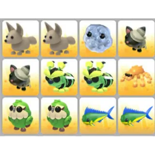 BUNDLE PET X12