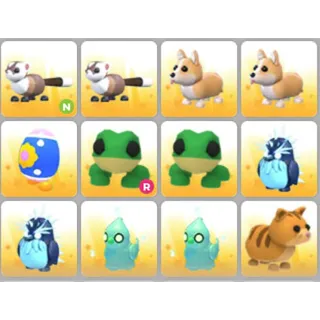 BUNDLE PET X12