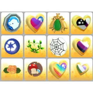 BUNDLE PET WEAR X12