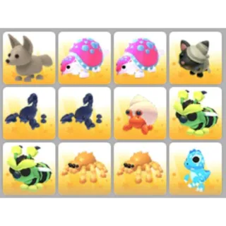 BUNDLE PET X12