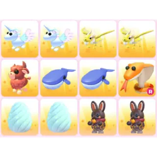 BUNDLE PET X12