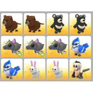 BUNDLE PET X12
