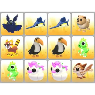 BUNDLE PET X12