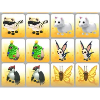 BUNDLE PET X12