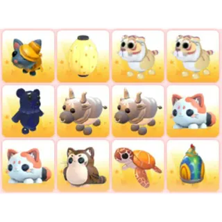 BUNDLE PET X12