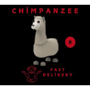 R LLAMA