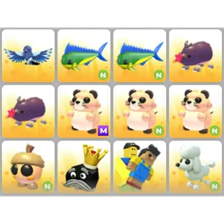 BUNDLE PET X12
