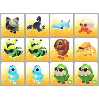 BUNDLE PET X12