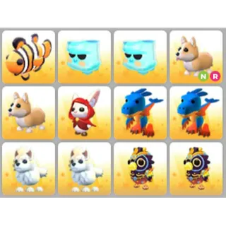 BUNDLE PET X12