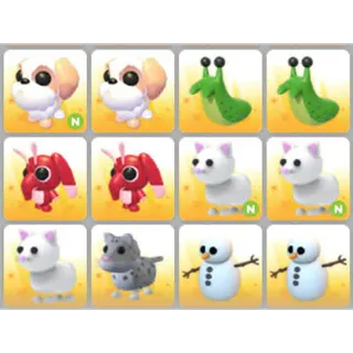BUNDLE PET X12