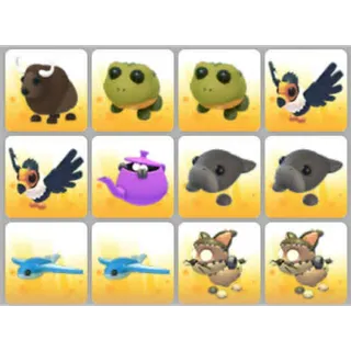 BUNDLE PET X12