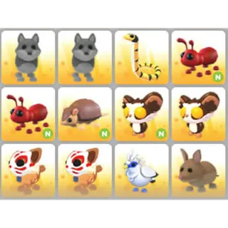 BUNDLE PET X12