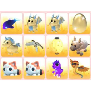 BUNDLE PET X12