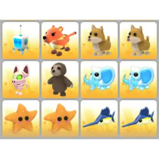 BUNDLE PET X12