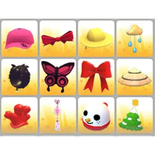 BUNDLE PET WEAR X12