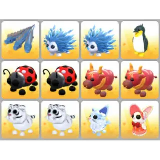 BUNDLE PET X12