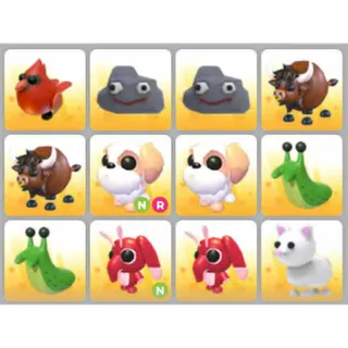 BUNDLE PET X12